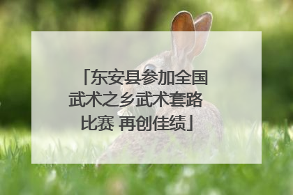 东安县参加全国武术之乡武术套路比赛 再创佳绩