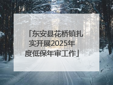 东安县花桥镇扎实开展2025年度低保年审工作