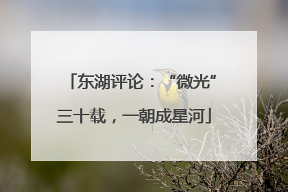 东湖评论：“微光”三十载，一朝成星河