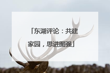 东湖评论：共建家园，思进图强
