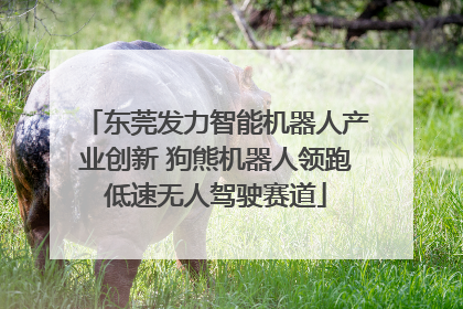 东莞发力智能机器人产业创新 狗熊机器人领跑低速无人驾驶赛道