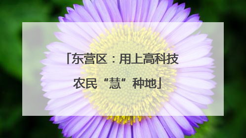 东营区：用上高科技 农民“慧”种地