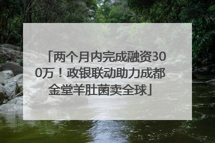 两个月内完成融资300万！政银联动助力成都金堂羊肚菌卖全球