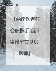 两岸医者在合肥携手培训贵州毕节基层医师