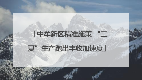 中牟新区精准施策 “三夏”生产跑出丰收加速度