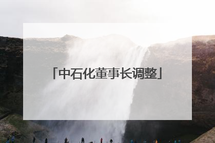 中石化董事长调整
