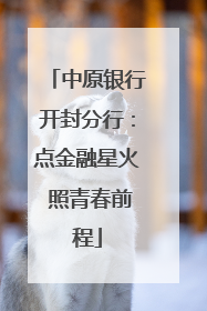 中原银行开封分行：点金融星火 照青春前程