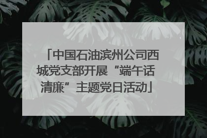 中国石油滨州公司西城党支部开展“端午话清廉”主题党日活动
