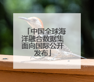 中国全球海洋融合数据集面向国际公开发布