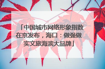 中国城市网络形象指数在京发布，海口：做强做实文旅海滨大品牌