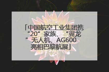 中国航空工业集团携“20”家族、“翼龙”无人机、AG600亮相巴黎航展