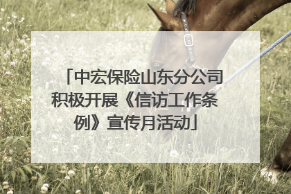 中宏保险山东分公司积极开展《信访工作条例》宣传月活动