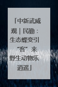 中新武威观｜民勤：生态蝶变引“客”来 野生动物乐逍遥