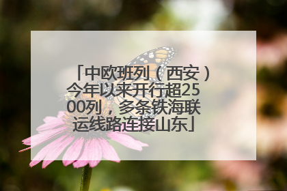 中欧班列（西安）今年以来开行超2500列，多条铁海联运线路连接山东