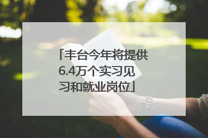 丰台今年将提供6.4万个实习见习和就业岗位