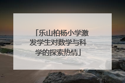 乐山柏杨小学激发学生对数学与科学的探索热情