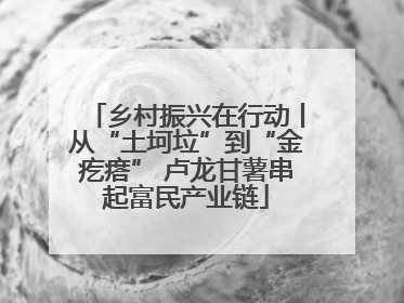 乡村振兴在行动丨从“土坷垃”到“金疙瘩” 卢龙甘薯串起富民产业链