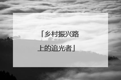 乡村振兴路上的追光者