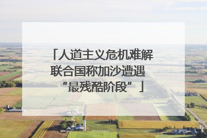 人道主义危机难解 联合国称加沙遭遇“最残酷阶段”