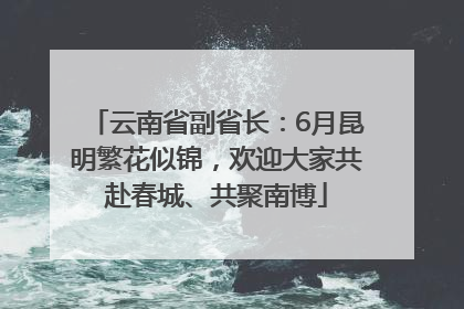 云南省副省长：6月昆明繁花似锦，欢迎大家共赴春城、共聚南博