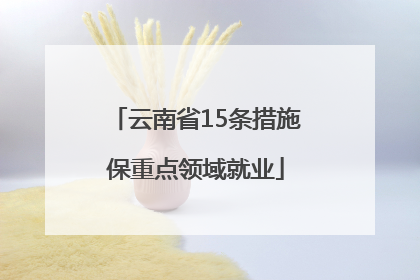 云南省15条措施保重点领域就业