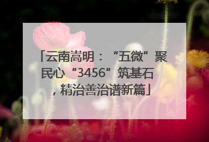 云南嵩明：“五微”聚民心“3456”筑基石，精治善治谱新篇
