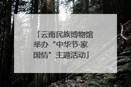 云南民族博物馆举办“中华节·家国情”主题活动