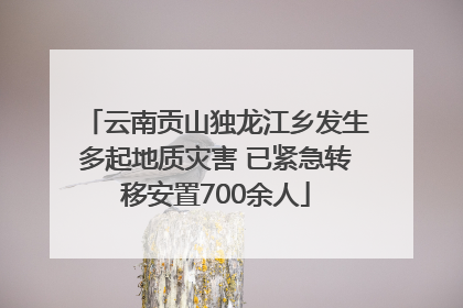 云南贡山独龙江乡发生多起地质灾害 已紧急转移安置700余人