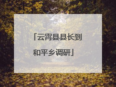 云霄县县长到和平乡调研