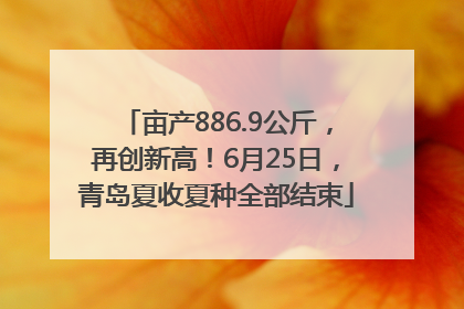 亩产886.9公斤，再创新高！6月25日，青岛夏收夏种全部结束