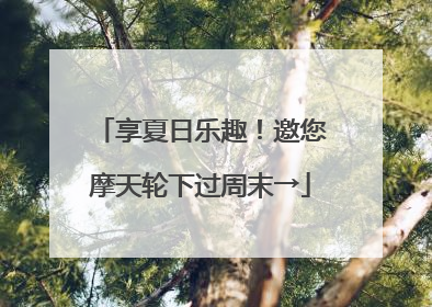 享夏日乐趣！邀您摩天轮下过周末→