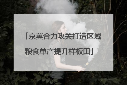 京冀合力攻关打造区域粮食单产提升样板田