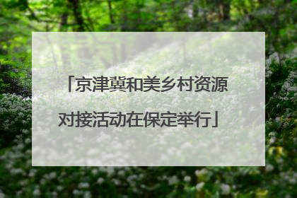 京津冀和美乡村资源对接活动在保定举行