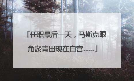 任职最后一天，马斯克眼角淤青出现在白宫……