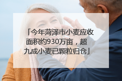 今年菏泽市小麦应收面积约930万亩，超九成小麦已颗粒归仓