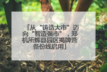 从“铸造大市”迈向“智造强市”，郑机所辉县园区揭牌暨备份线启用