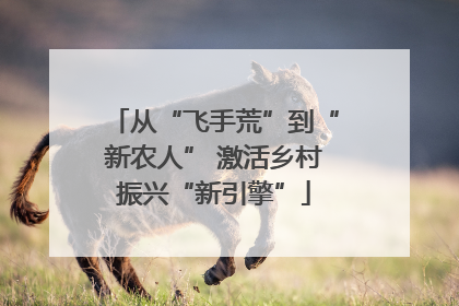 从“飞手荒”到“新农人” 激活乡村振兴“新引擎”