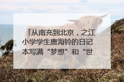 从南充到北京，之江小学学生唐海铃的日记本写满“梦想”和“世界”｜您牵挂的四川