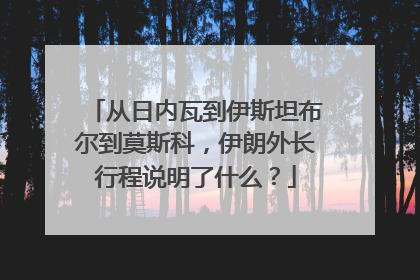 从日内瓦到伊斯坦布尔到莫斯科，伊朗外长行程说明了什么？
