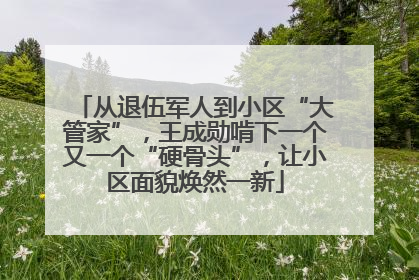 从退伍军人到小区“大管家”，王成勋啃下一个又一个“硬骨头”，让小区面貌焕然一新