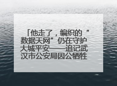 他走了，编织的“数据天网”仍在守护大城平安——追记武汉市公安局因公牺牲民警万松