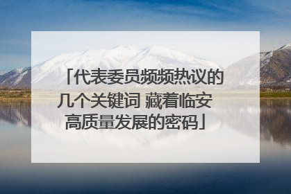 代表委员频频热议的几个关键词 藏着临安高质量发展的密码