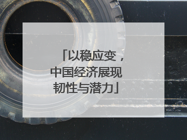 以稳应变，中国经济展现韧性与潜力