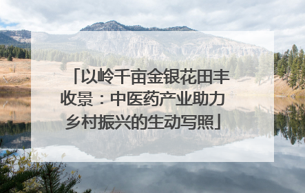 以岭千亩金银花田丰收景：中医药产业助力乡村振兴的生动写照