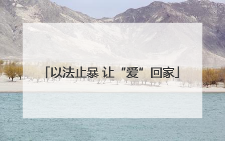 以法止暴 让“爱”回家