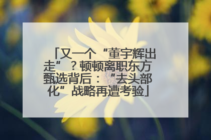 又一个“董宇辉出走”？顿顿离职东方甄选背后：“去头部化”战略再遭考验