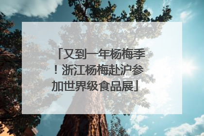 又到一年杨梅季！浙江杨梅赴沪参加世界级食品展