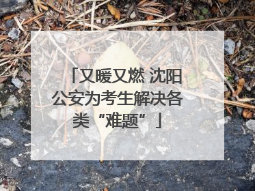 又暖又燃 沈阳公安为考生解决各类“难题”