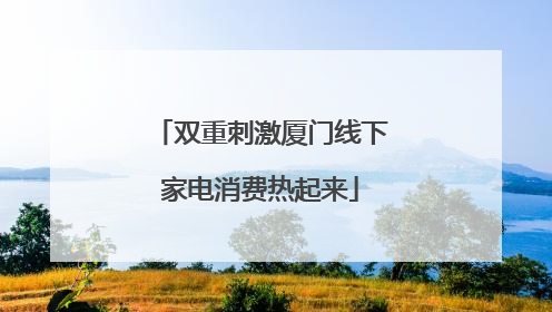 双重刺激厦门线下家电消费热起来