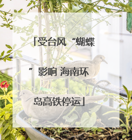 受台风“蝴蝶”影响 海南环岛高铁停运